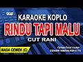 Download Lagu RINDU TAPI MALU KARAOKE KOPLO - NADA WANITA  (CUT RANI)
