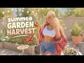 Summer Garden Harvest Tomatoes Zucchini Peppers OH MY