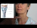 Examination of the Trachea