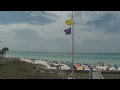 South Walton purple flags how to handle jellies