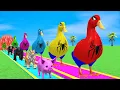 Long Slide Game With Cow Elephant Gorilla Hippopotamus Tiger 3d Animal Game Funny 3d Animals