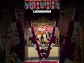 Download Lagu alakh malak joya tari aashi na rango I #gamansanthal #instaviral #gujaratisong