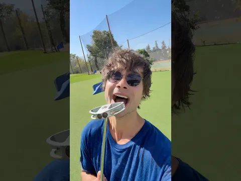 Кто меня научит играть в гольф? 🐱 #котик #гольф #alexanderrybak #eurovision #golf