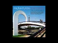 Download Lagu Fauna Flash - Free (Salvador Group Remix)