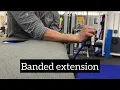 Download Lagu Heavy Slow Resistance Training for Lateral Elbow Tendinopathy