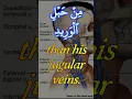 Download Lagu Surah 50 Qaaf Aayah 16