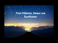Post Malone Swae Lee - Sunflower 1 HOUR LOOP