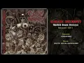 Download Lagu Cardiac Necropsy (SGP) - Morbid Scum Division (Full Album) 2011