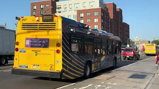 MTA NYCT 2021 NovaBus LFS Q36 Limited Bus to Jamaica Bus Terminal
