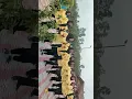 Download Lagu juara 1 yel yel kader posyandu  ..Viral Bonus satu juta dari kepala desa  Bagoang bpk suryata ..