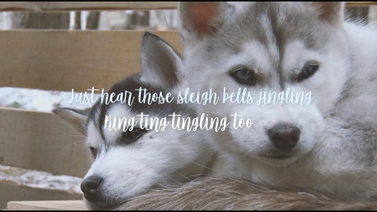 Jenna Raine & Jayden Bartels - Sleigh Ride (Official Lyric Video) Jenna Raine & Jayden Bartels - Sleigh Ride (Official Lyric Video)
