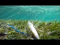 Download Lagu pasang jaring ikan di laut dangkal langsung dapat banyak