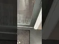 Greystar Employee refusing to give receipt of Apartment Handover