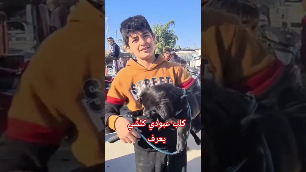 كلب عبودي كلشي يعرف 🤣🤣🤣