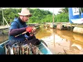 Lagu TOLONGGG !! TERBENAM PULUHAN KALI JORAN SAYA DIGASAK UDANG BESAR, MANCING UDANG GALAH TERBAIK