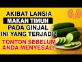 Download Lagu Efek Timun pada Ginjal Lansia: Membantu atau Justru Membebani?