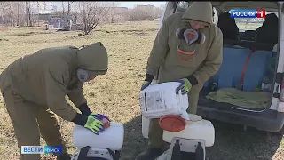 Более 250 случаев присасывания клещей зарегистрировано в Омской области за последнюю неделю