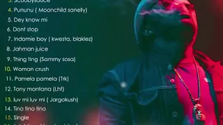 pununu scoobynero ft moonchild sanelly audio 