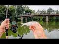 Download Lagu LIVE BAIT MAYHEM! Light Tackle Catfishing for River GIANTS