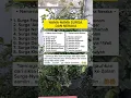 Download Lagu Nama-nama Surga dan Neraka
