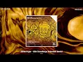 James Hype - Wild (Goodboys Extended Remix)