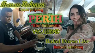 Download Koplo Jaipong - Arman Rahman - PERIH (Elvy sukaesih) Voc.Ulland ||Balad Musik Live Kancah lembang MP3