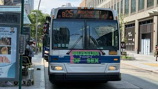 MTA NYCT 2009 Orion viii Next Gen 4597 on the B25