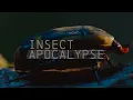 The Effects Of Declining Insect Populations | Bright Now