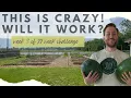 Maximizing Space Growing 32 Watermelon Plants in a 64 Square Foot Area