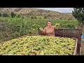 Download Lagu Գնացինք ՉՈՐԱԹԱՆ ԲԱՂԱՔԱՂ - Շամշադինի Համը - Шамшадин 