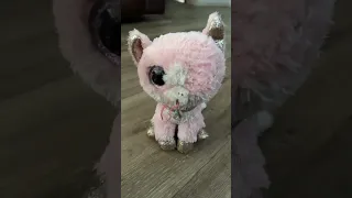 My beanie boo collection