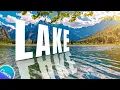How to Create Perspective Text with Reflection Effect in Canva