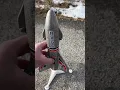 Download Lagu RAGE RC Electric Rocket From our Amazon Storefront! Link in Description!