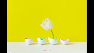 Aşk Mı Lazım English Turkish Lyrics 