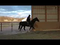 Cheery Acres March 2023 - Brandi Sturdivant Kupid Shuffle