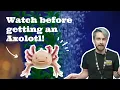 Introduction to an Axolotl as a Pet watch before getting an Axolotl