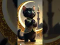 Download Lagu Shalawat Nabi Kucing lucu | cute cat #cat #catlovers #shalawat #trending #youtubeshorts