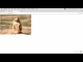 Socket IO Solutions Broadcasting an Image to Other Sockets packtpub com