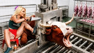 Beautiful Farm Girls #2026 – Cow Milking, Tractors, Combines & Modern Smart Farming