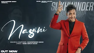Nagini (Official Audio) | Sukhwinder Singh & Babu Singh Maan | New Panjabi Song 2026