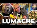 Mangio le LUMACHE per la prima volta a Parigi