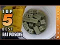 Top 5 Best Rat Poisons Review in 2026