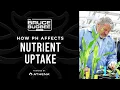 Bruce Bugbee Series - How pH Affects Nutrient Uptake