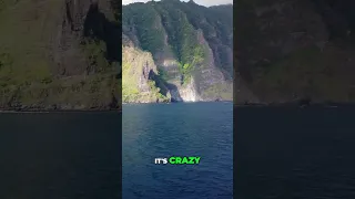 We sailed across the Pacific Ocean! #sailing #fishing #oceanvoyage