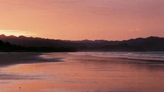 Some pictures I took