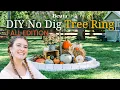 EASY DIY No Dig Tree Ring Autumn Pumpkin Patch Project | With Beuta Landscape Edging