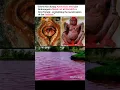 Download Lagu Mystery Of Kamakhya Temple | River turns Red #sanatandharma #spirituality #hindudeity #shorts