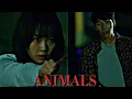 Lagu animals ➤ midnight