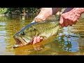 Download Lagu 3 Hours of Epic Freshwater Fishing!