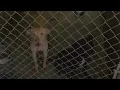 Dothan Animal Shelter needs your help
